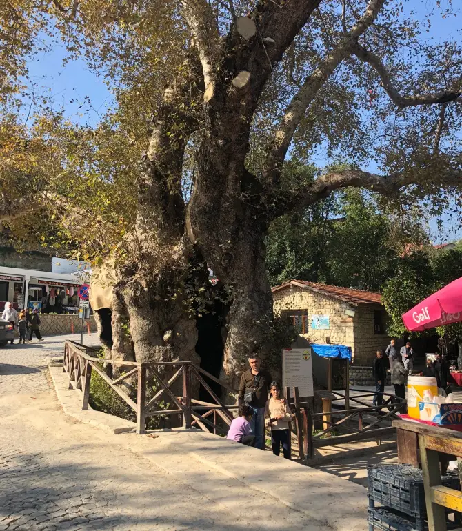 Hidirbey Mahallesi