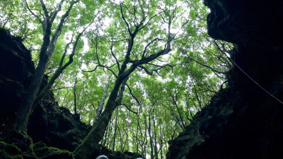 Gruta das Torres