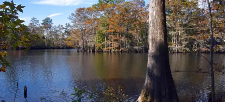 Wingate properties in Calcasieu Parish