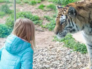ルイビル動物園