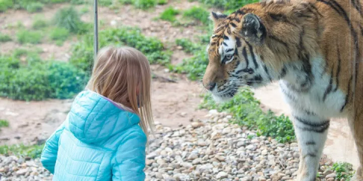 路易斯維爾動物園