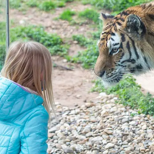 路易斯維爾動物園