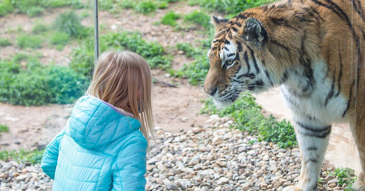 Louisville Zoo