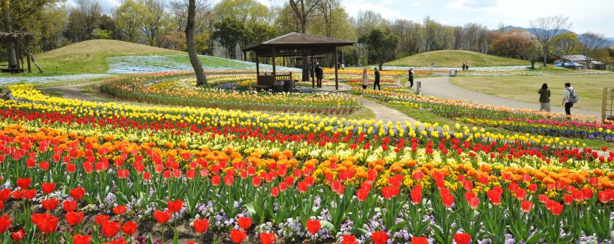 Sanuki Manno Park
