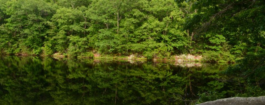Lucius Pond Ordway / Devil's Den Preserve