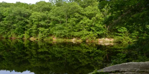 Lucius Pond Ordway / Devil's Den Preserve