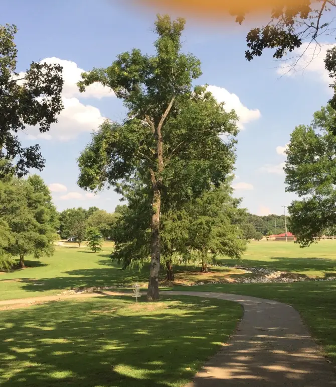 Tupelo