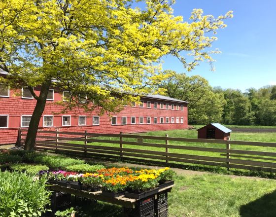 貝德福德 自由行套票