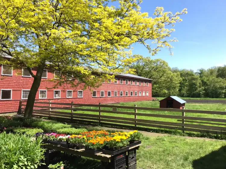 Bedford