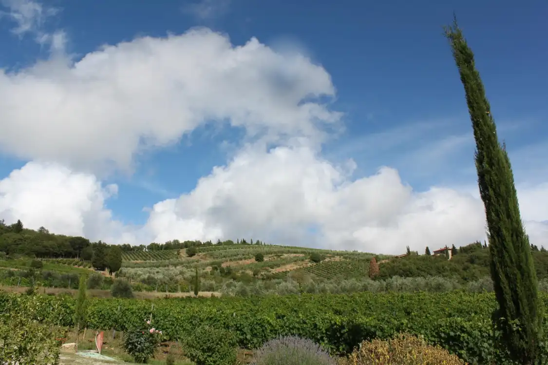 Hotel in zona Vallone de Cecione