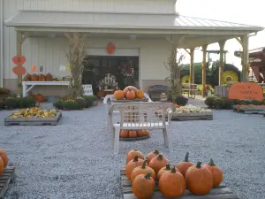 Gail's Pumpkin Patch, LLC