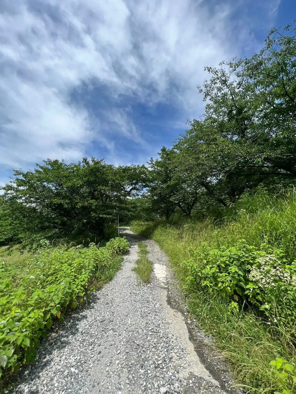 Hotels near Hinoe Castle Ruins