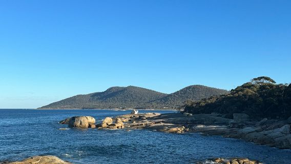 Bicheno Blowhole