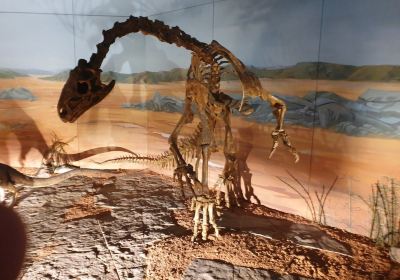 Porthcawl Museum