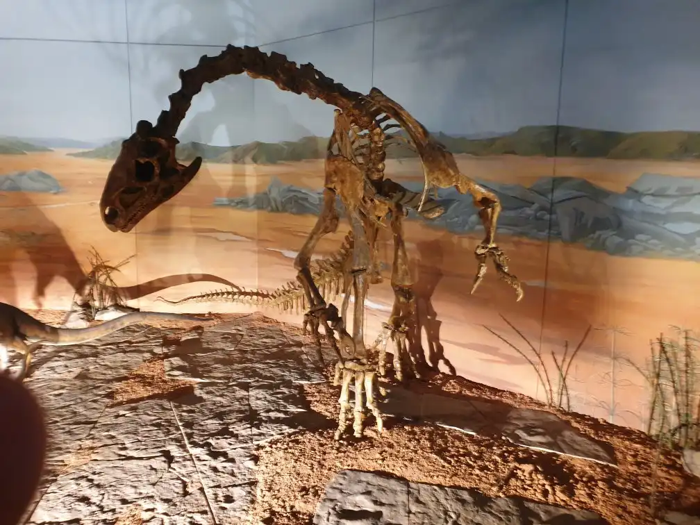 โรงแรมใกล้Porthcawl Museum