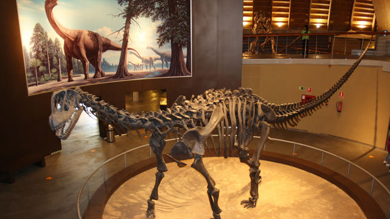 Jurassic Museum of Asturias