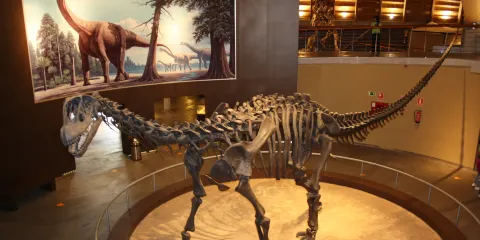 阿斯圖里亞斯侏羅紀博物館