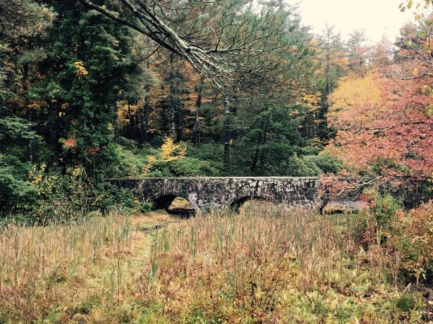Maudslay State Park