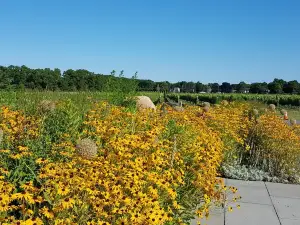 Kontokosta Winery