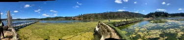 Pichilemu