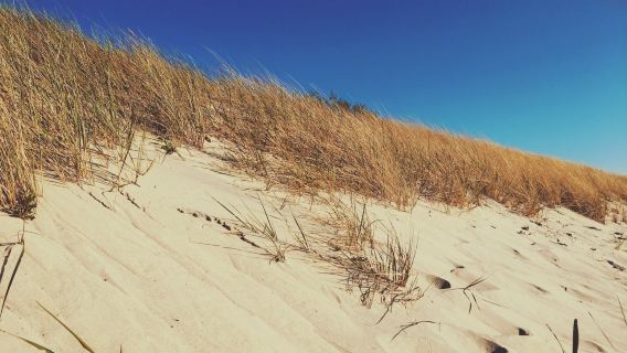 Beach Of Nida