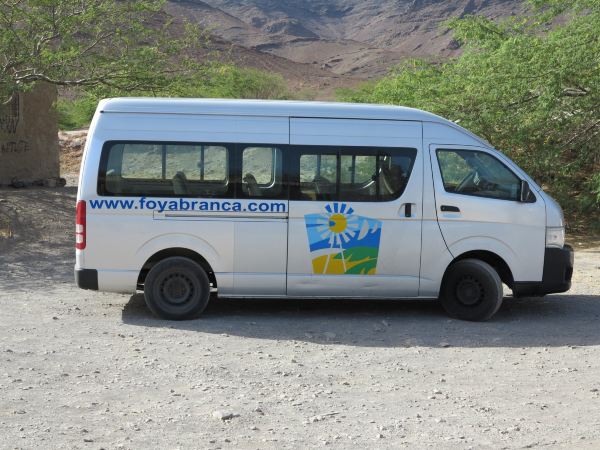 DIVE-TRIBE Dive Center Mindelo