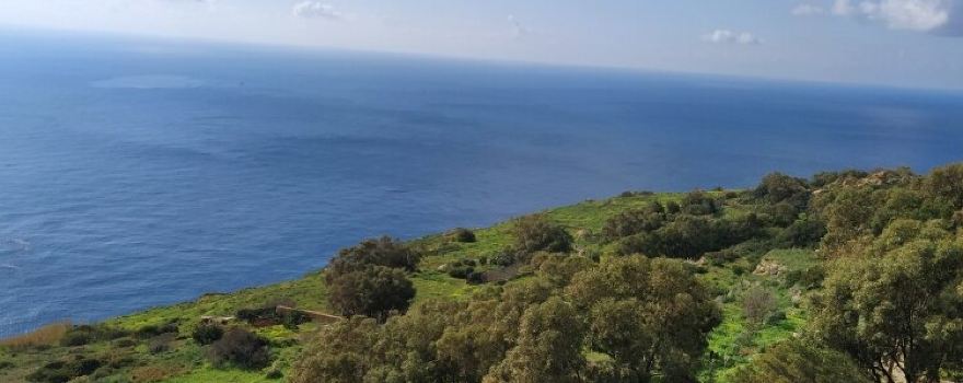 Had-Dingli