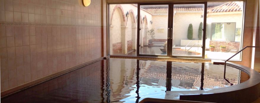 Kodaira Onsen Terme Ogawa