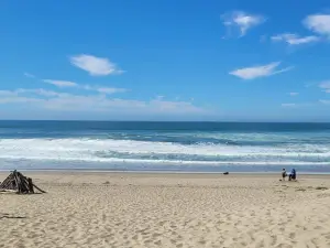 Surf Beach