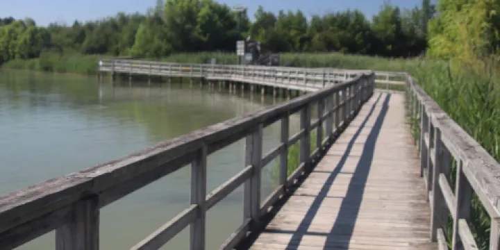 Mel Swart Lake Gibson Conservation Park