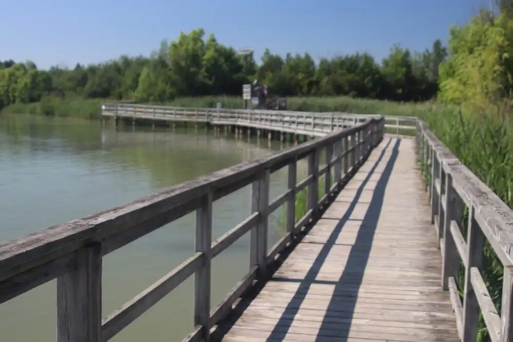 Mel Swart Lake Gibson Conservation Park附近的飯店