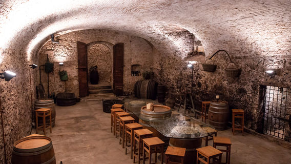 Cantina del Castello