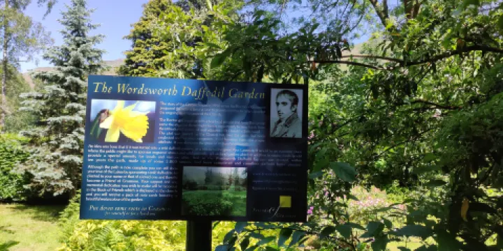 Wordsworth Daffodil Garden