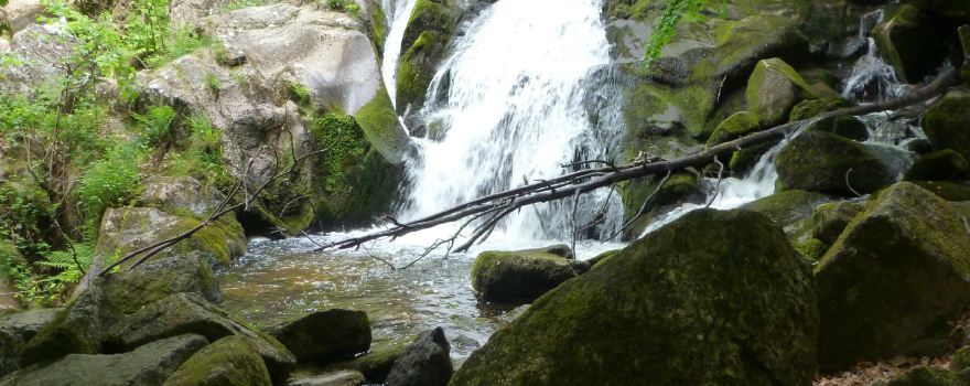 Cascade de la Pisserotte