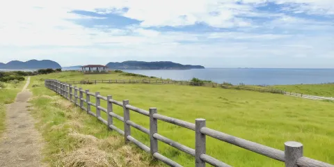杉ノ原放牧場