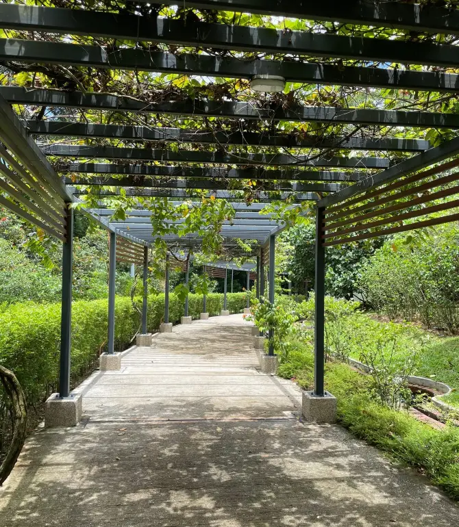 Batu