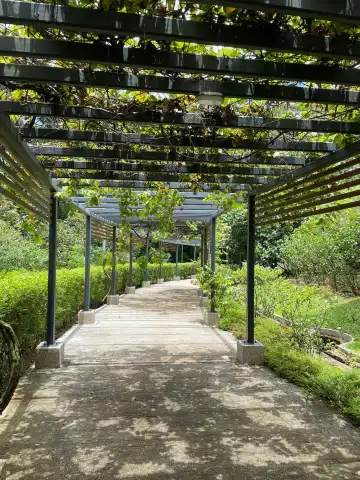 Hotels near Kepong Botanic Gardens | FRIM - Forest Research Institute Malaysia