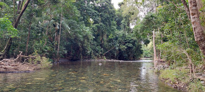 Emmagen Creek