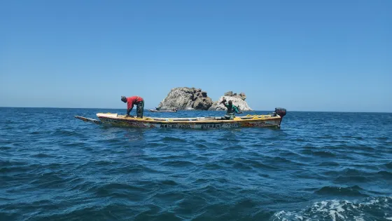 馬德萊娜羣島