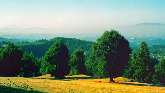 Addis Ababa