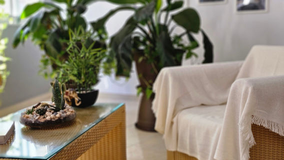 Espiral. Massage - Therapy - Fisioesthetic