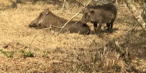 Kuleni Game Park