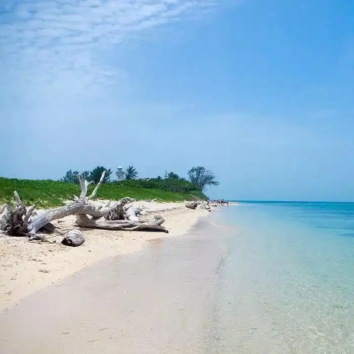 Hotels near Isla Enmedio
