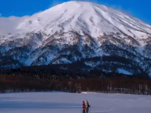 Icaro Niseko