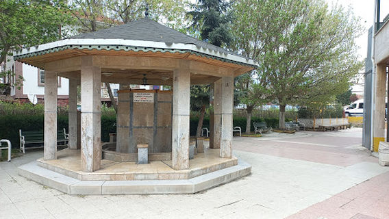 Mevlana Cami