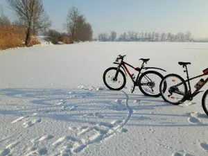 Boldvai SPORT HORGÁSZTÓ