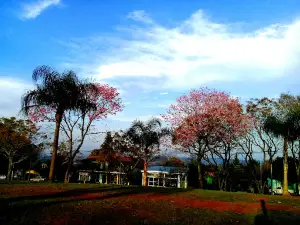 Plaza Malvinas Argentinas