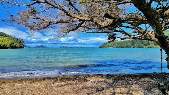 Shelly Beach