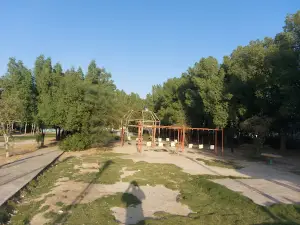 Al-Shula Park