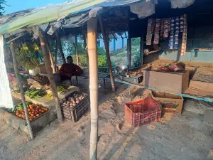 झलवार ,ममदर ,पड़खुरी 588, मोड़